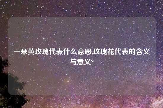 一朵黄玫瑰代表什么意思,玫瑰花代表的含义与意义?