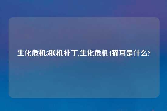 生化危机5联机补丁,生化危机4猫耳是什么?