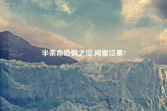 半条命恐惧之泣,闻雷泣墓?