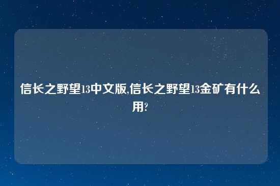 信长之野望13中文版,信长之野望13金矿有什么用?