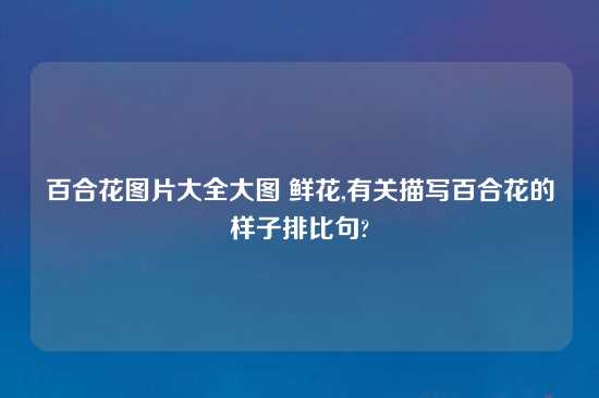 百合花图片大全大图 鲜花,有关描写百合花的样子排比句?