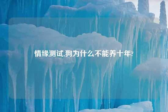 情缘测试,狗为什么不能养十年?