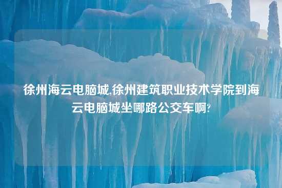 徐州海云电脑城,徐州建筑职业技术学院到海云电脑城坐哪路公交车啊?