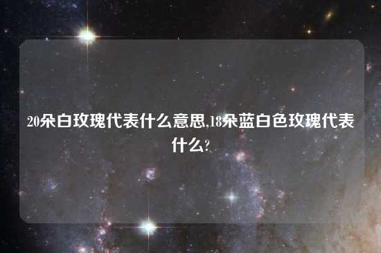 20朵白玫瑰代表什么意思,18朵蓝白色玫瑰代表什么?