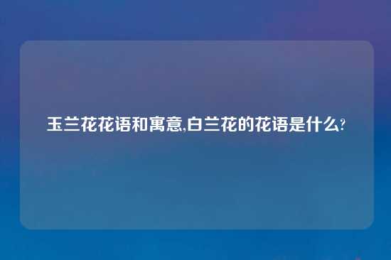 玉兰花花语和寓意,白兰花的花语是什么?