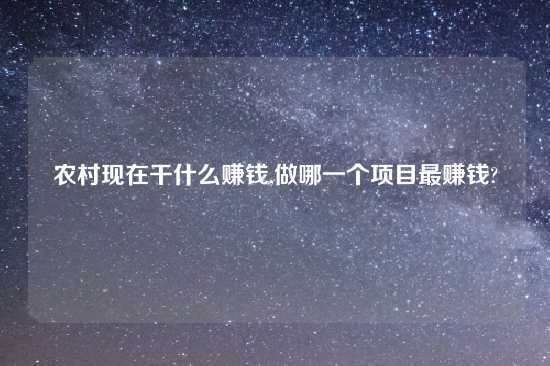 农村现在干什么赚钱,做哪一个项目最赚钱?