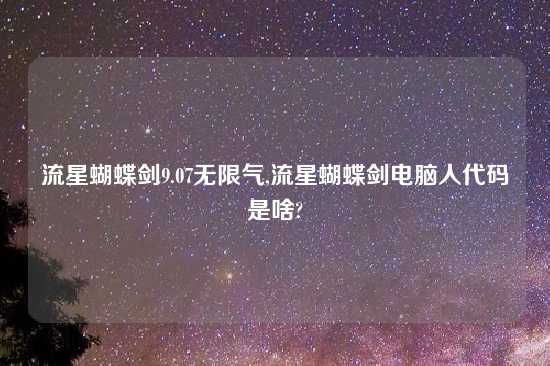 流星蝴蝶剑9.07无限气,流星蝴蝶剑电脑人代码是啥?