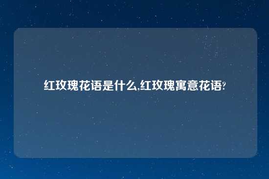 红玫瑰花语是什么,红玫瑰寓意花语?