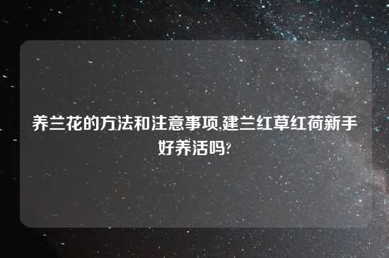 养兰花的方法和注意事项,建兰红草红荷新手好养活吗?