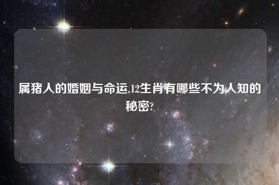 属猪人的婚姻与命运,12生肖有哪些不为人知的秘密?