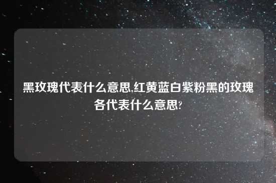 黑玫瑰代表什么意思,红黄蓝白紫粉黑的玫瑰各代表什么意思?