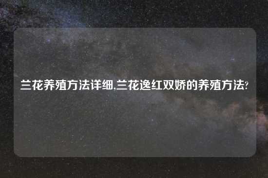 兰花养殖方法详细,兰花逸红双娇的养殖方法?