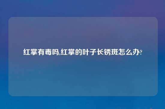 红掌有毒吗,红掌的叶子长锈斑怎么办?