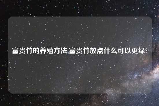 富贵竹的养殖方法,富贵竹放点什么可以更绿?