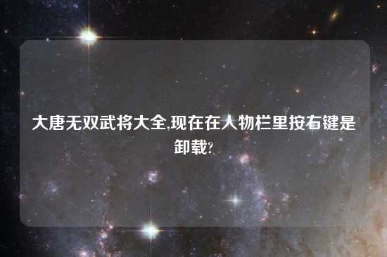 大唐无双武将大全,现在在人物栏里按右键是卸载?