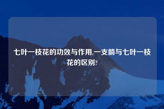 七叶一枝花的功效与作用,一支箭与七叶一枝花的区别?