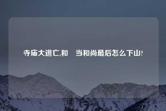 寺庙大逃亡,和珅当和尚最后怎么下山?