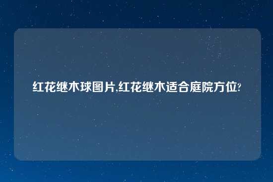 红花继木球图片,红花继木适合庭院方位?