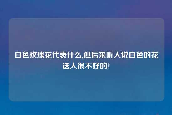 白色玫瑰花代表什么,但后来听人说白色的花送人很不好的?