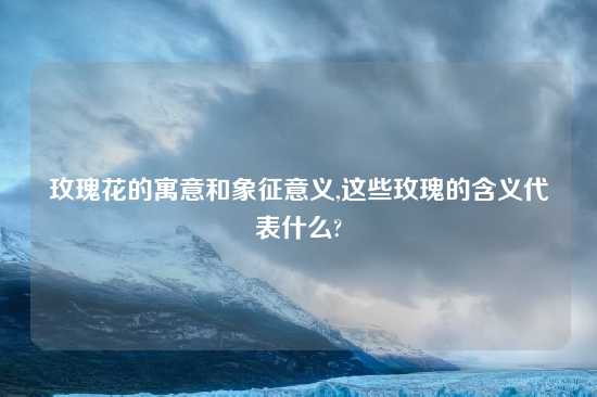 玫瑰花的寓意和象征意义,这些玫瑰的含义代表什么?