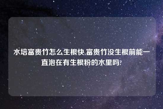 水培富贵竹怎么生根快,富贵竹没生根前能一直泡在有生根粉的水里吗?