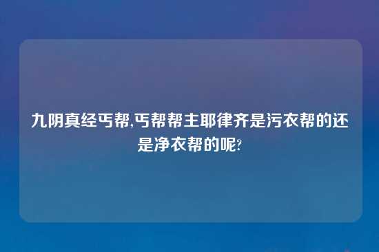 九阴真经丐帮,丐帮帮主耶律齐是污衣帮的还是净衣帮的呢?