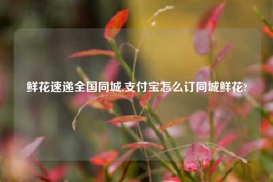 鲜花速递全国同城,支付宝怎么订同城鲜花?