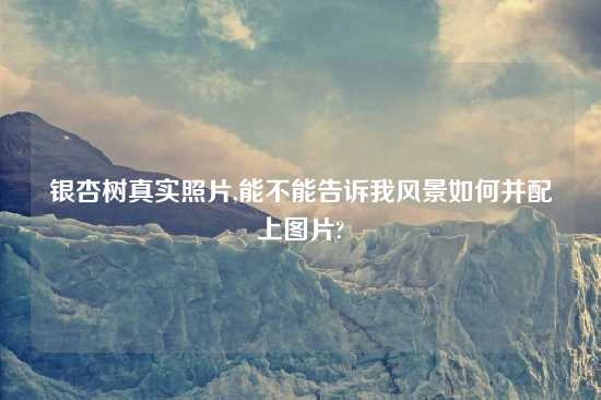 银杏树真实照片,能不能告诉我风景如何并配上图片?