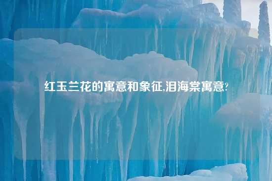 红玉兰花的寓意和象征,泪海棠寓意?