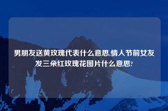 男朋友送黄玫瑰代表什么意思,情人节前女友发三朵红玫瑰花图片什么意思?