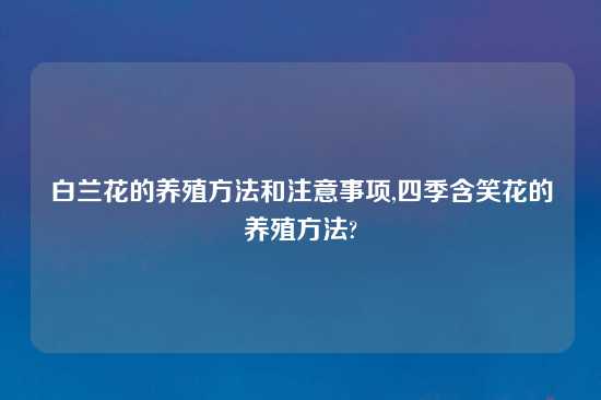 白兰花的养殖方法和注意事项,四季含笑花的养殖方法?