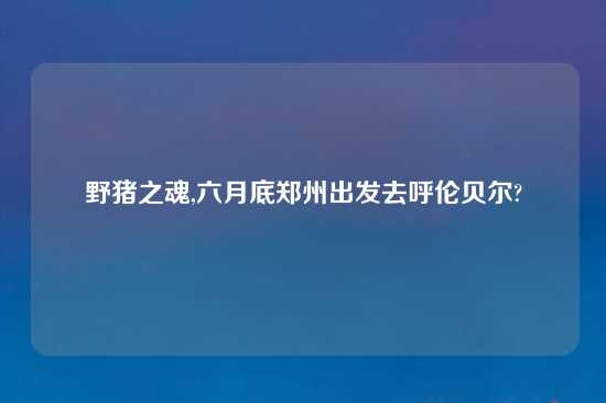 野猪之魂,六月底郑州出发去呼伦贝尔?