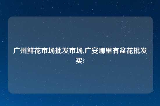 广州鲜花市场批发市场,广安哪里有盆花批发买?