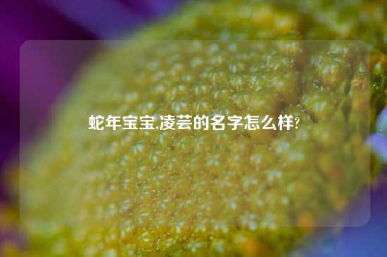 蛇年宝宝,凌芸的名字怎么样?