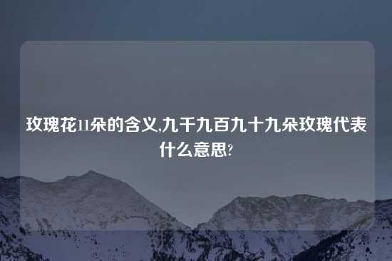 玫瑰花11朵的含义,九千九百九十九朵玫瑰代表什么意思?