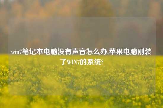 win7笔记本电脑没有声音怎么办,苹果电脑刚装了WIN7的系统?