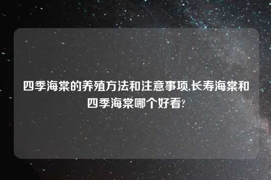 四季海棠的养殖方法和注意事项,长寿海棠和四季海棠哪个好看?