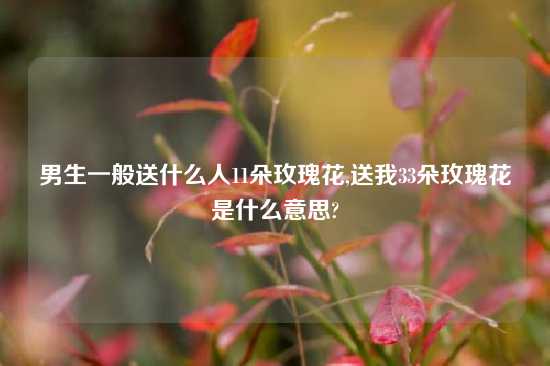 男生一般送什么人11朵玫瑰花,送我33朵玫瑰花是什么意思?