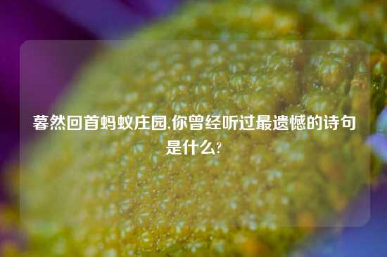 暮然回首蚂蚁庄园,你曾经听过最遗憾的诗句是什么?