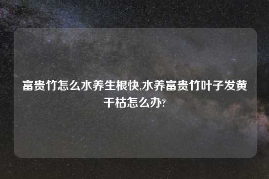 富贵竹怎么水养生根快,水养富贵竹叶子发黄干枯怎么办?