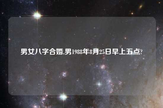 男女八字合婚,男1988年8月25日早上五点?