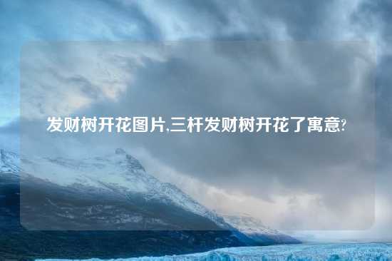 发财树开花图片,三杆发财树开花了寓意?