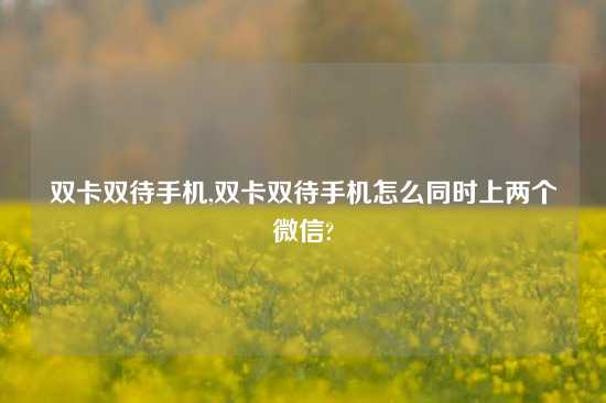 双卡双待手机,双卡双待手机怎么同时上两个微信?