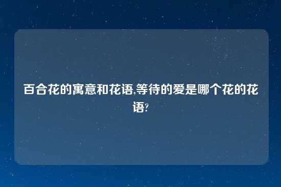 百合花的寓意和花语,等待的爱是哪个花的花语?