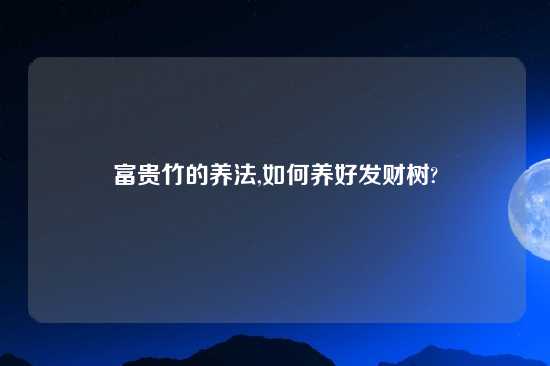 富贵竹的养法,如何养好发财树?