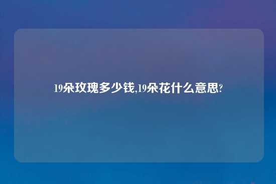 19朵玫瑰多少钱,19朵花什么意思?