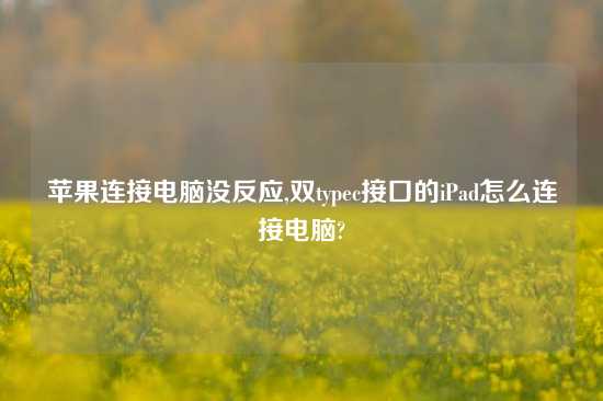 苹果连接电脑没反应,双typec接口的iPad怎么连接电脑?