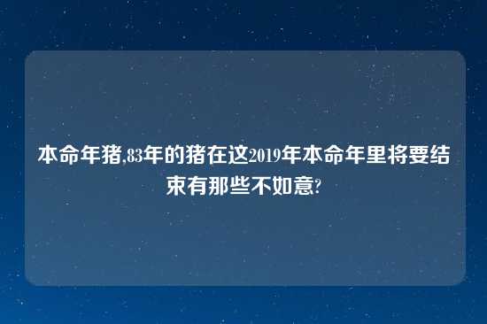 本命年猪,83年的猪在这2019年本命年里将要结束有那些不如意?