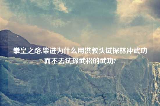 拳皇之路,柴进为什么用洪教头试探林冲武功而不去试探武松的武功?