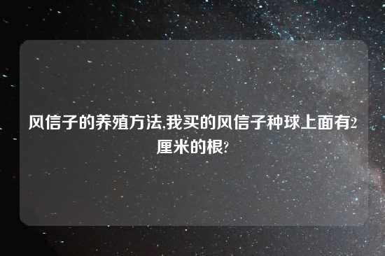 风信子的养殖方法,我买的风信子种球上面有2厘米的根?